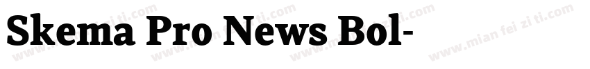 Skema Pro News Bol字体转换